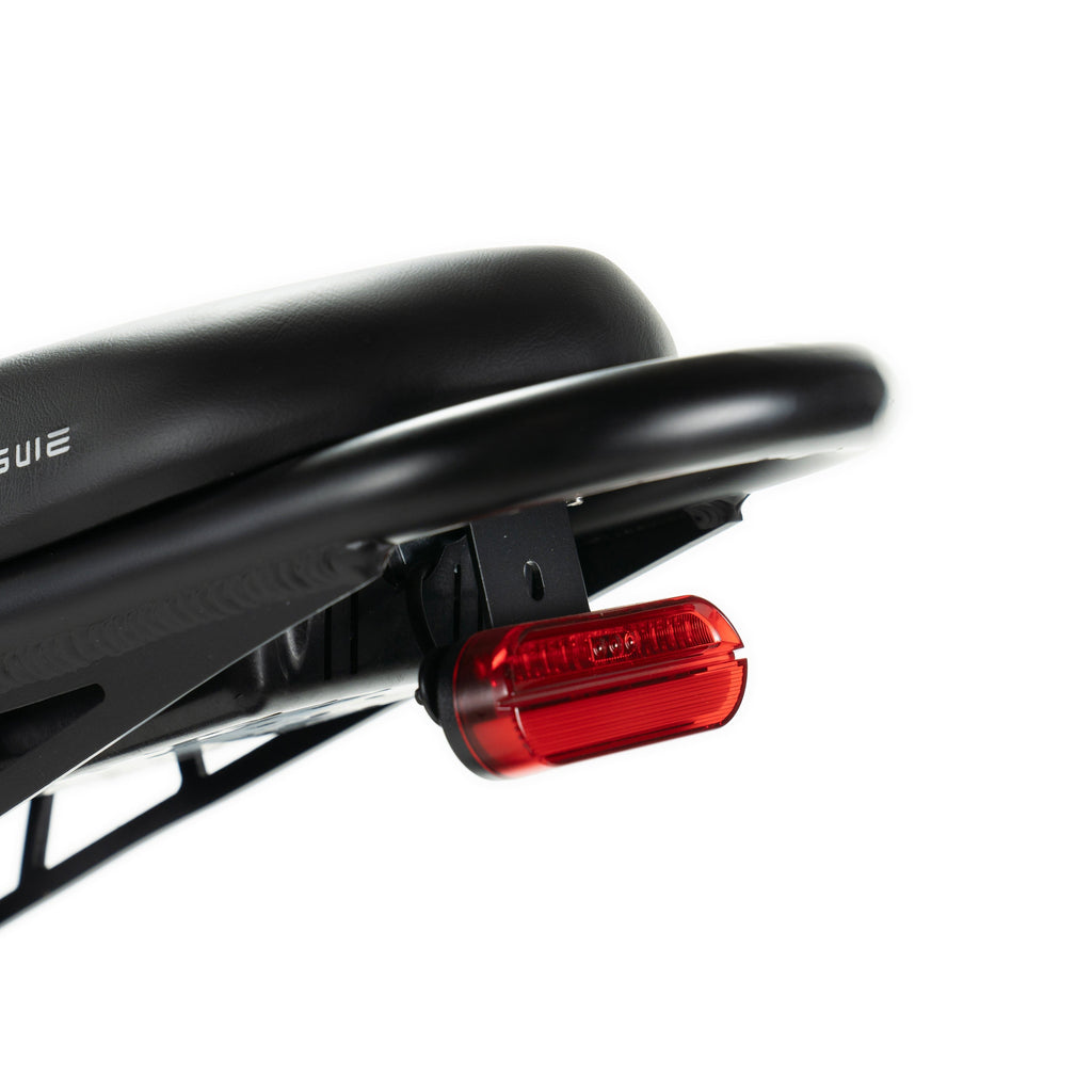 Bicicletta elettrica Engwe M20 stile motociclistico - doppia batteria
