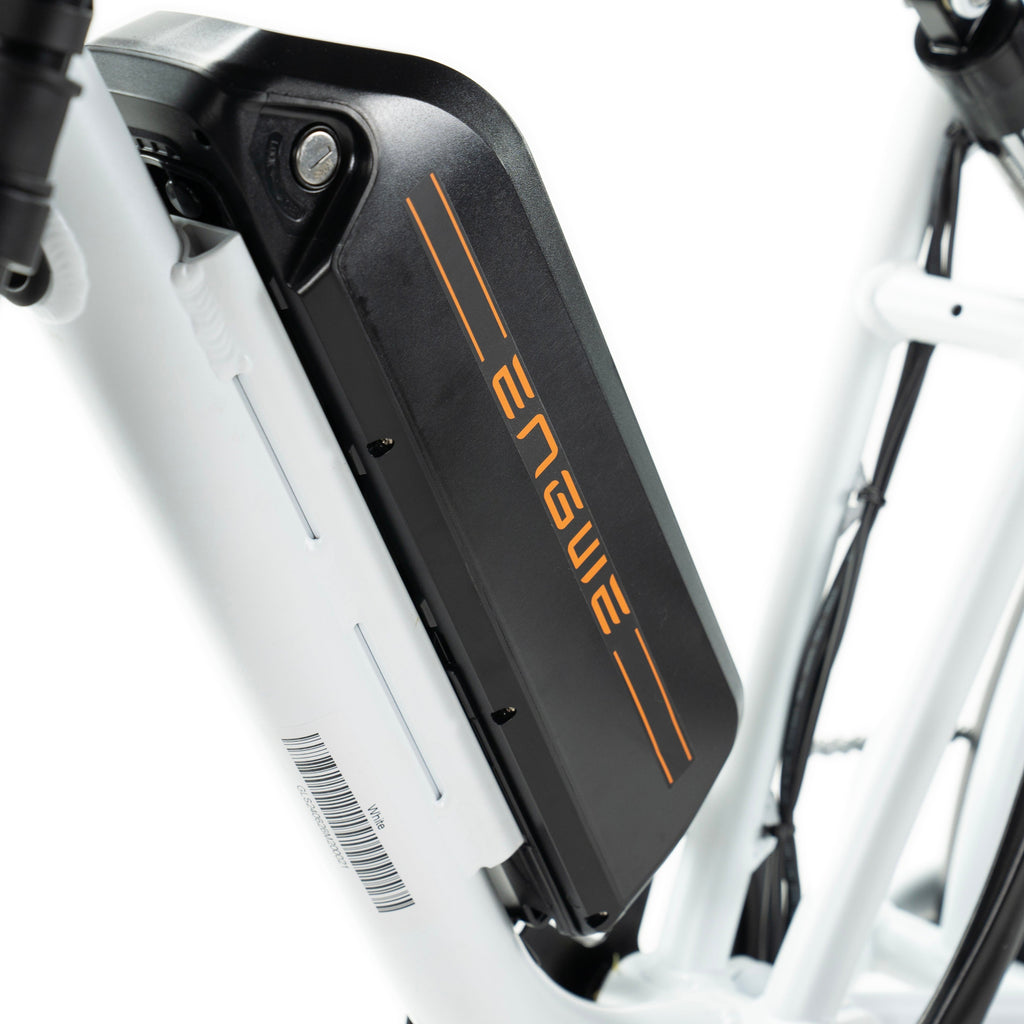 Bicicletta elettrica Engwe M20 stile motociclistico - doppia batteria