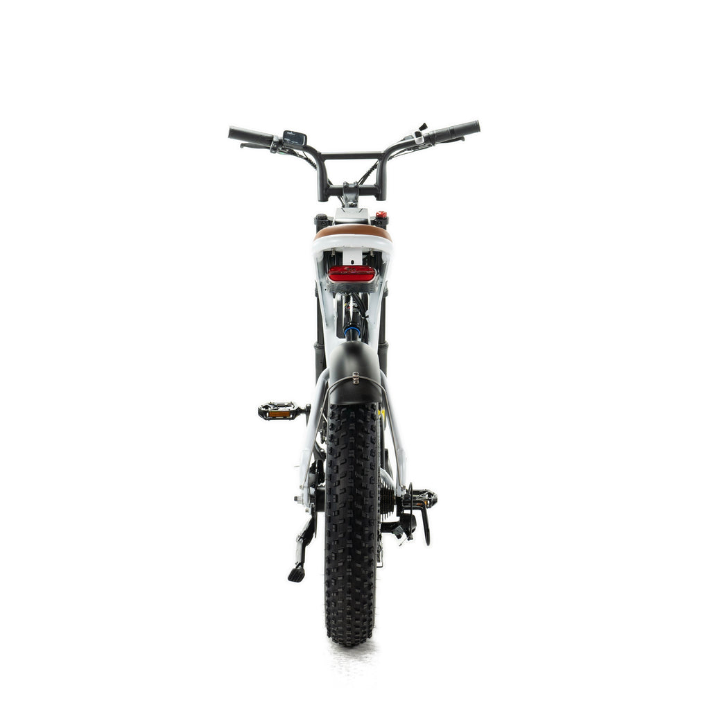 Bicicletta elettrica Engwe M20 stile motociclistico - doppia batteria