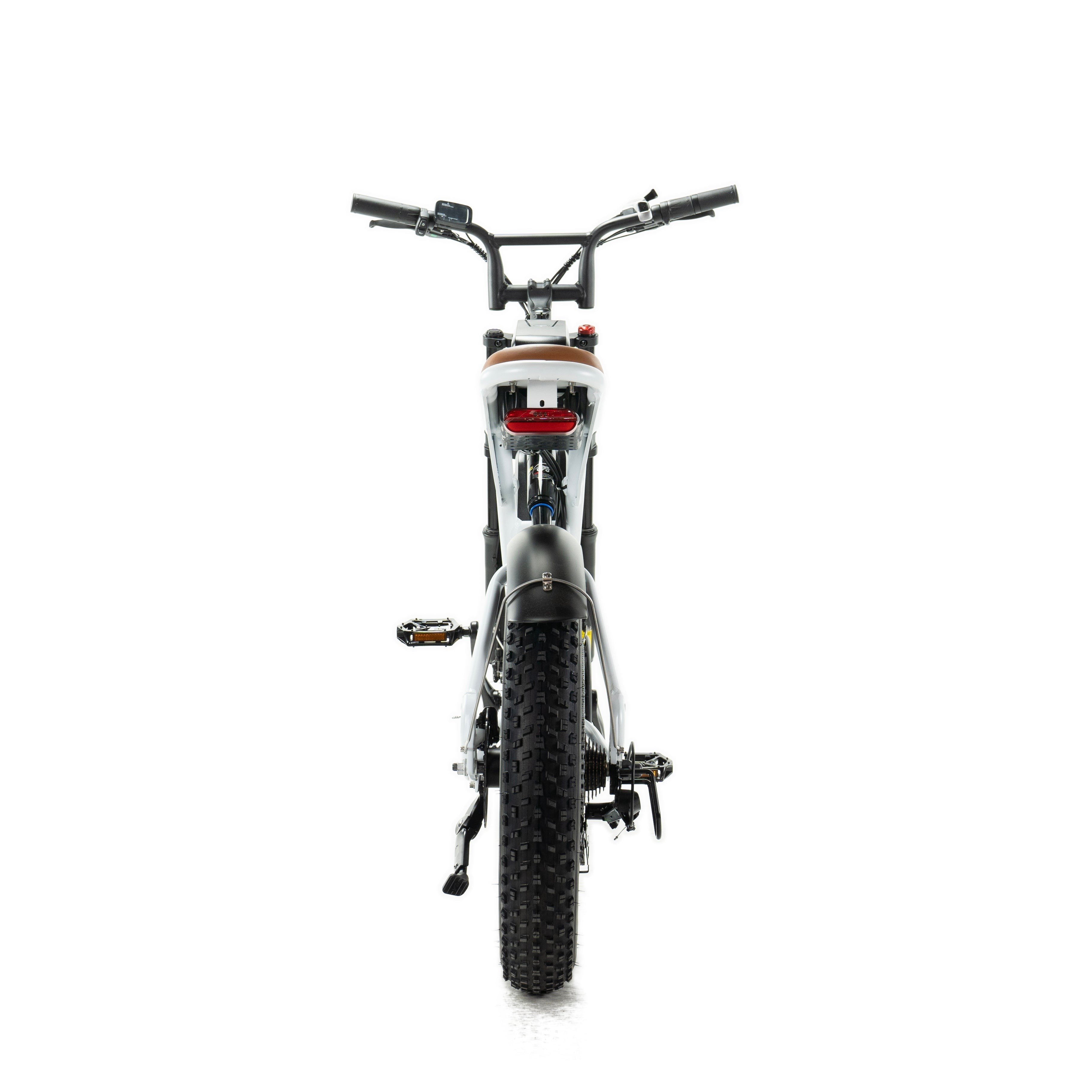 Bicicletta elettrica Engwe M20 stile motociclistico - doppia batteria