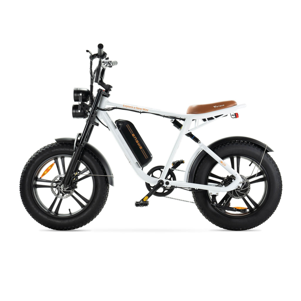 Bicicletta elettrica Engwe M20 stile motociclistico - batteria singola 750w