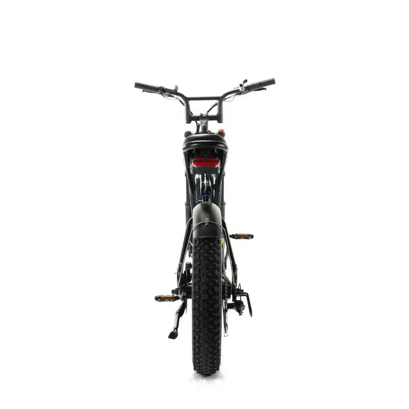 Bicicletta elettrica Engwe M20 stile motociclistico - batteria singola 750w