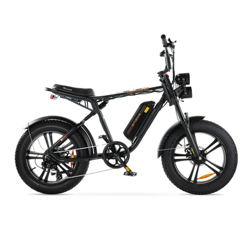 Bicicletta elettrica Engwe M20 stile motociclistico - batteria singola 750w