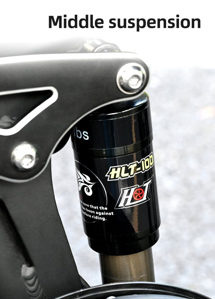 Bicicletta elettrica pieghevole Engwe ENGINE X 250W - nero