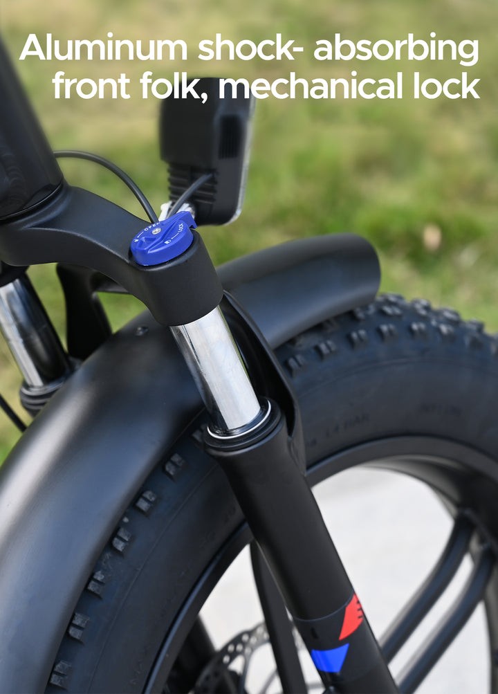 Bicicletta elettrica pieghevole Engwe ENGINE X 250W - nero