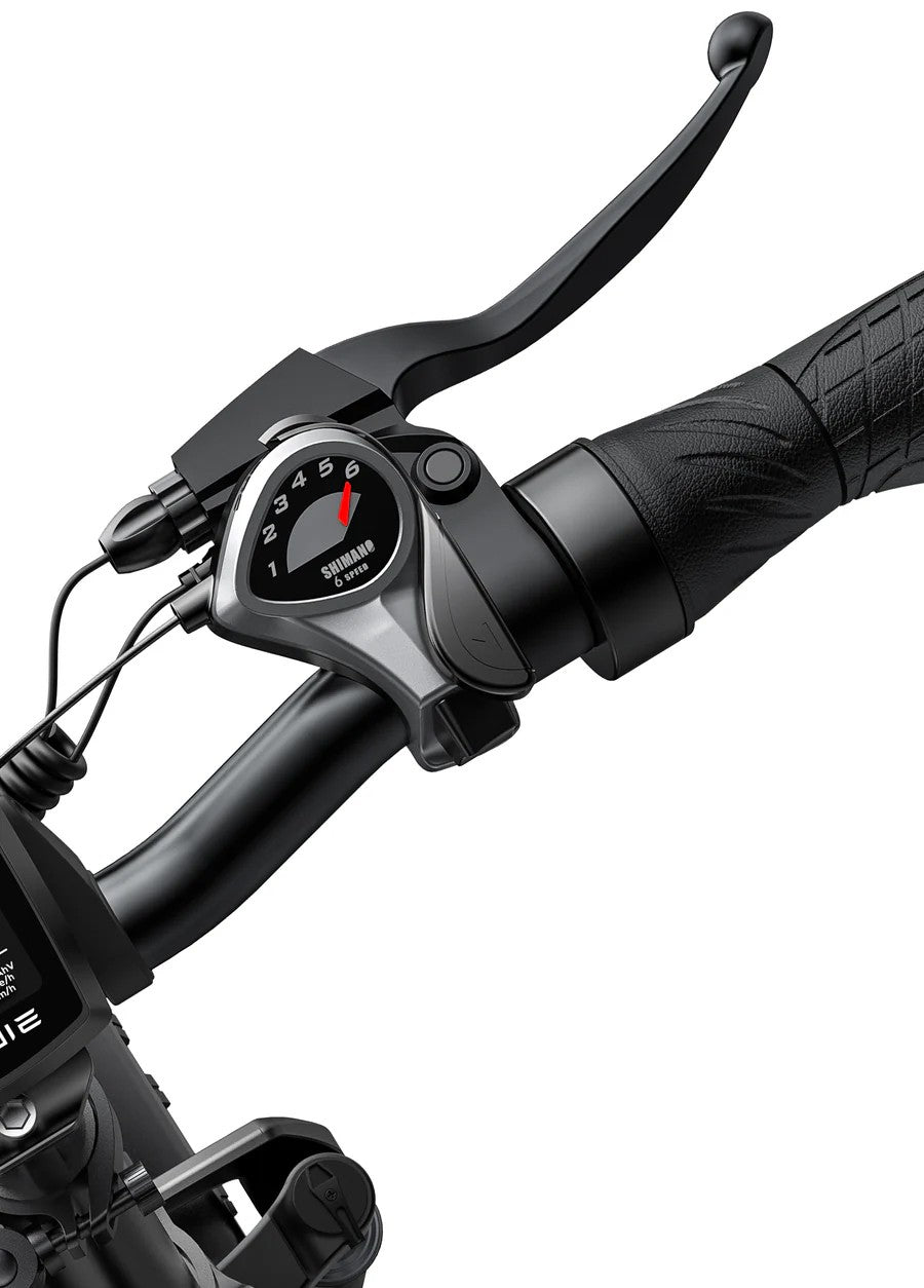 Bicicletta elettrica pieghevole Engwe EP-2 Pro 250W - nero