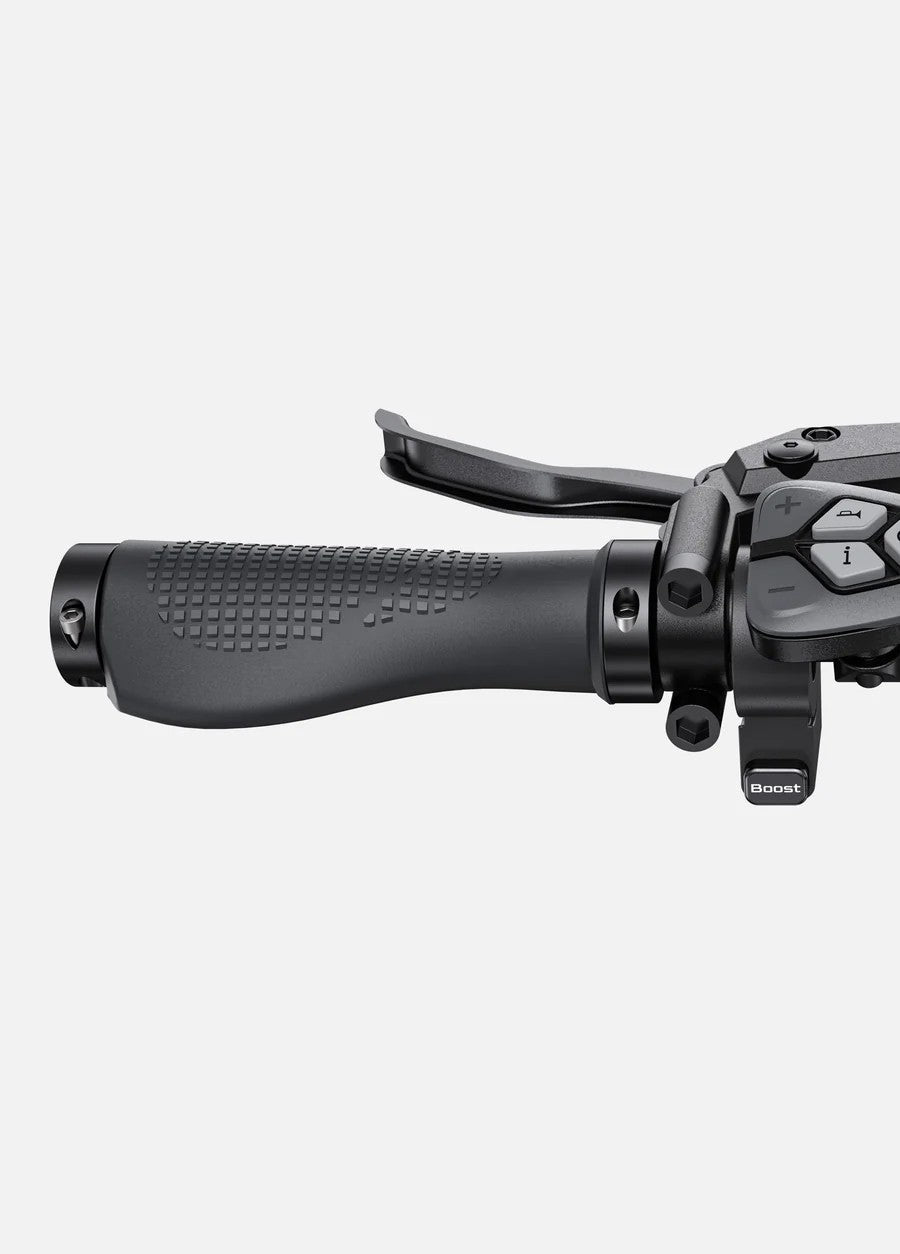 Bicicletta elettrica pieghevole Engwe L20 3.0 pro 250W 48V 15Ah - nero