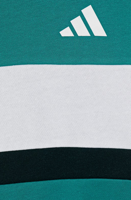 Felpa Ragazzo Adidas Seasonal Essentials Tiberio 3-Stripes - Verde