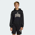 Felpa Ragazzo Adidas STADIUM LETTERING  - NERO