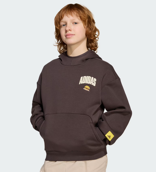 Felpa Ragazzo Adidas The Simpsons - Marrone