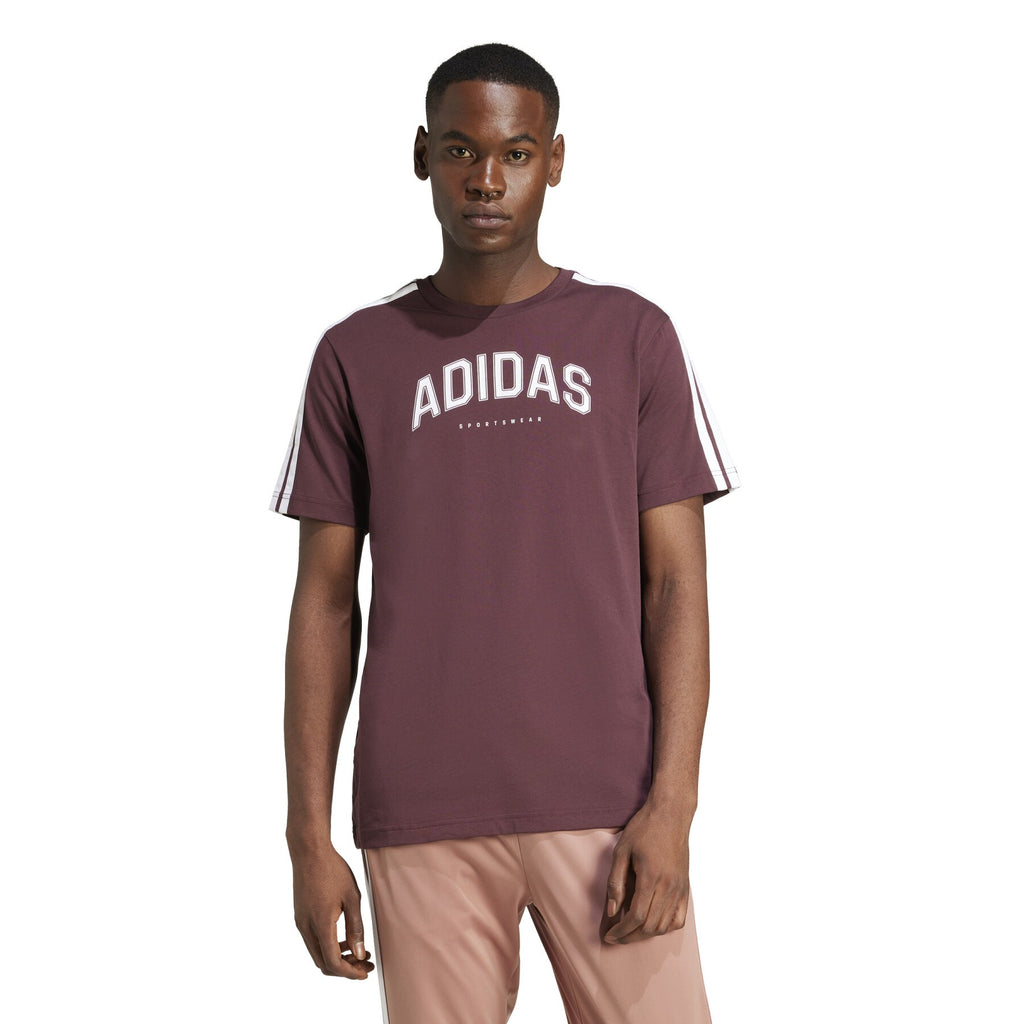 T-shirt Uomo Adidas Codes Collegiate Linear Graphic- Bordeaux